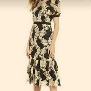 Antonio Melani Moonlit Botanical Tessa Dress
